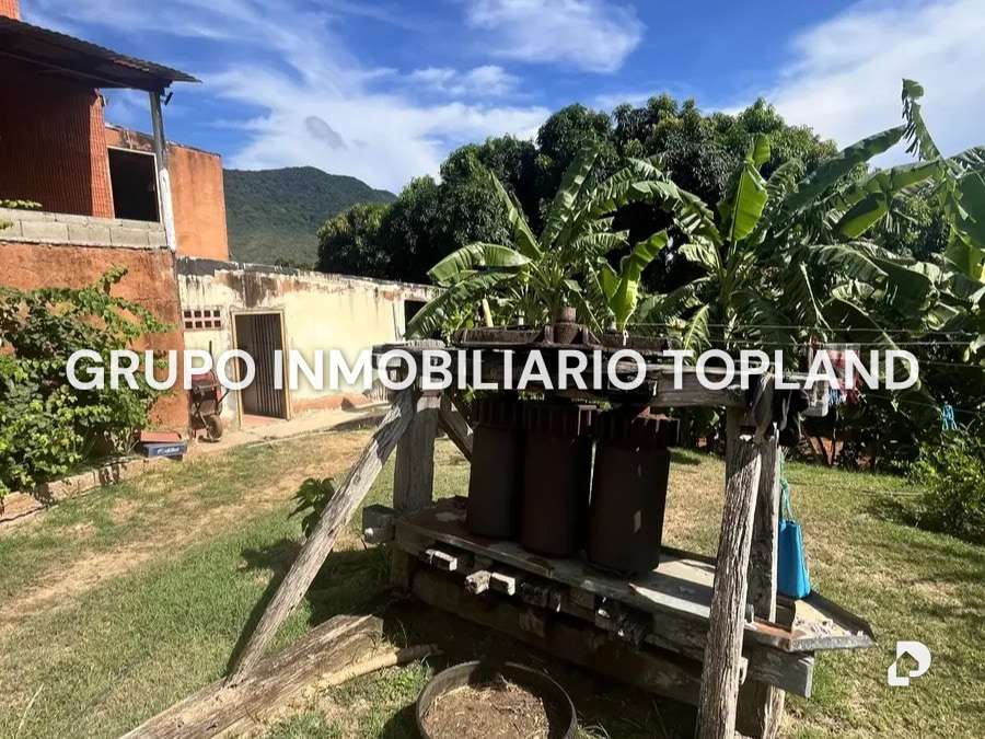 Finca en Arismendi, La Asunción – 6