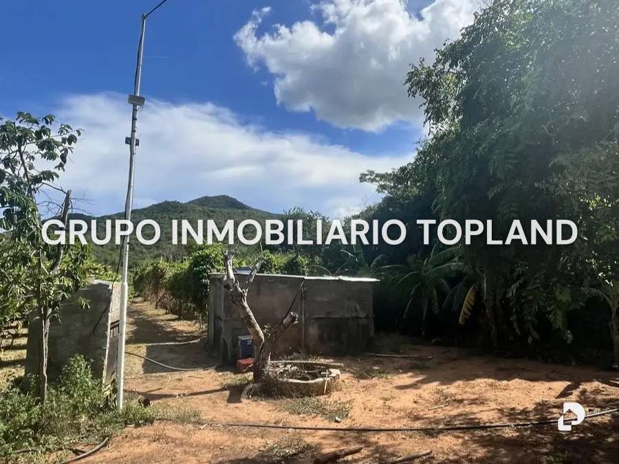 Finca en Arismendi, La Asunción – 5