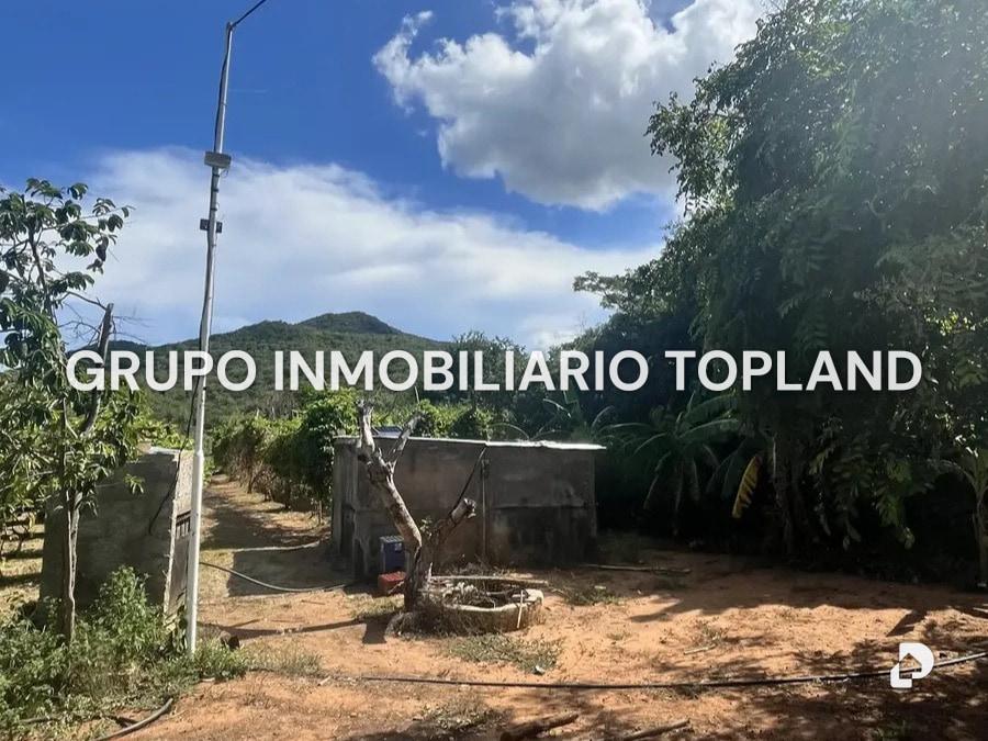 Finca en Arismendi, La Asunción – 5