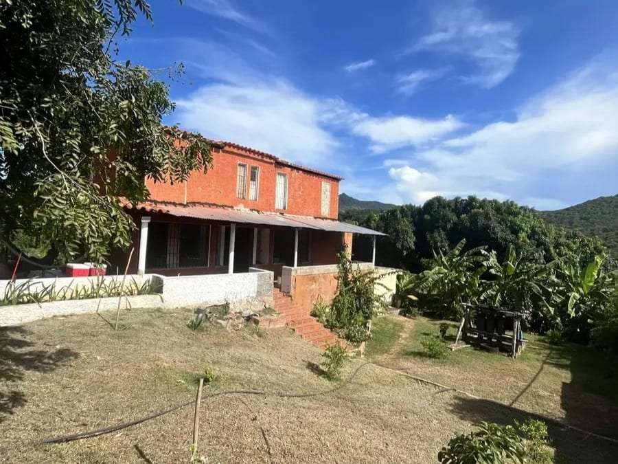 Finca en Arismendi, La Asunción - 1