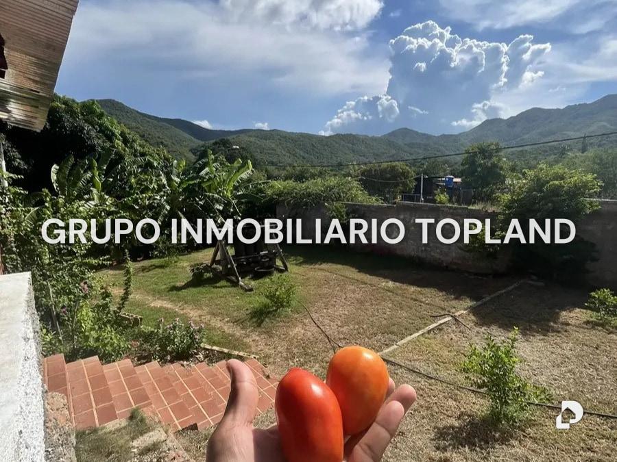 Finca en Arismendi, La Asunción – 2