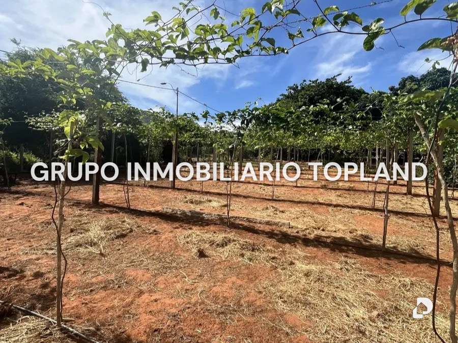 Finca en Arismendi, La Asunción – 3