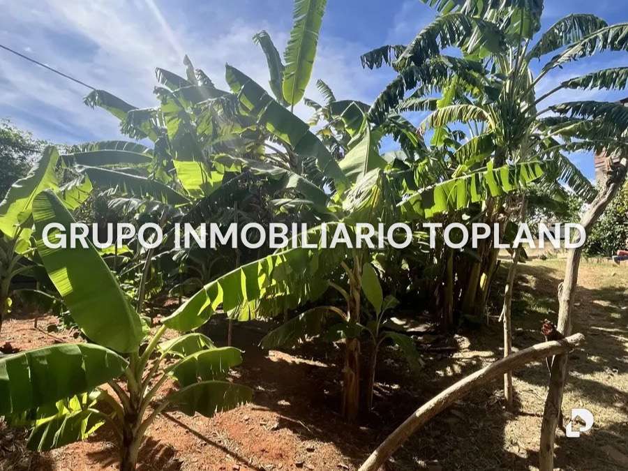 Finca en Arismendi, La Asunción – 7
