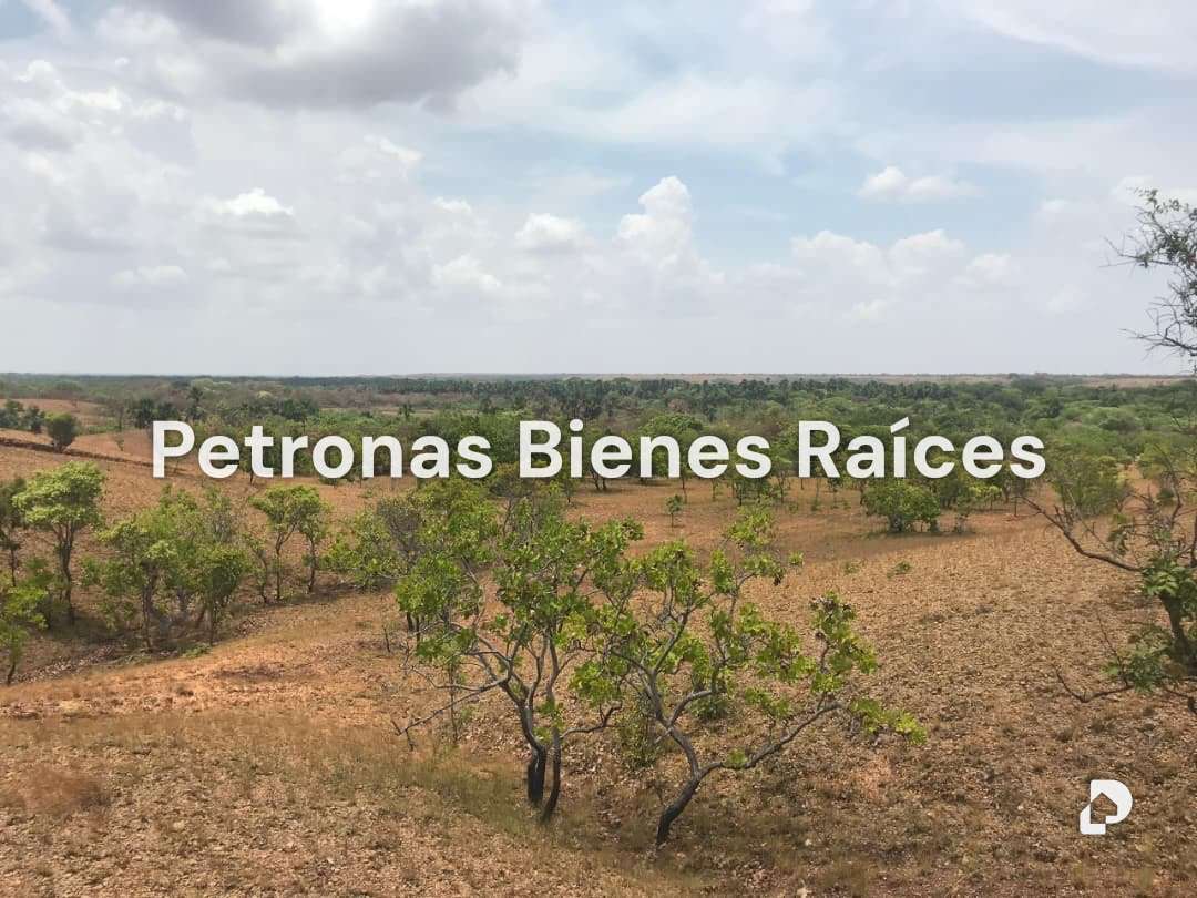 Finca en Las Mercedes del Llano – 2
