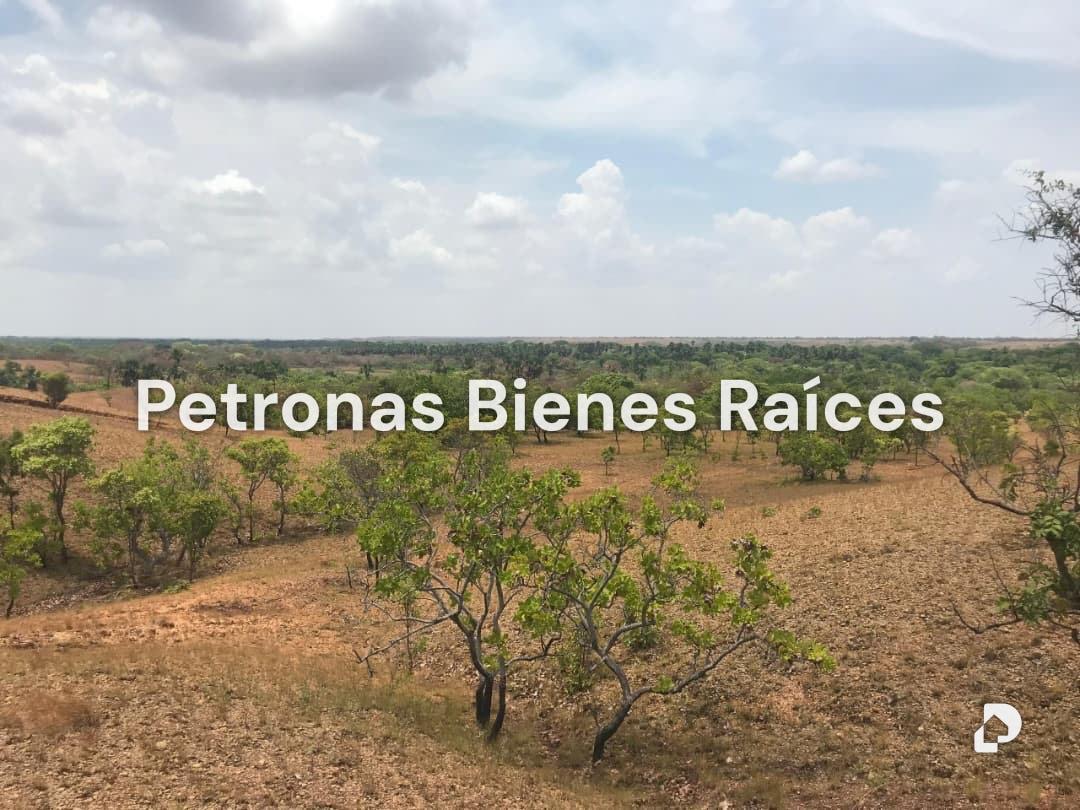 Finca en Las Mercedes del Llano – 2