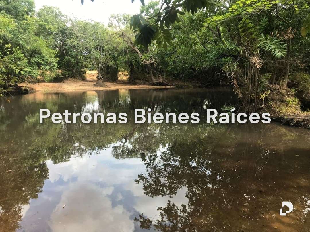 Finca en Las Mercedes del Llano – 3