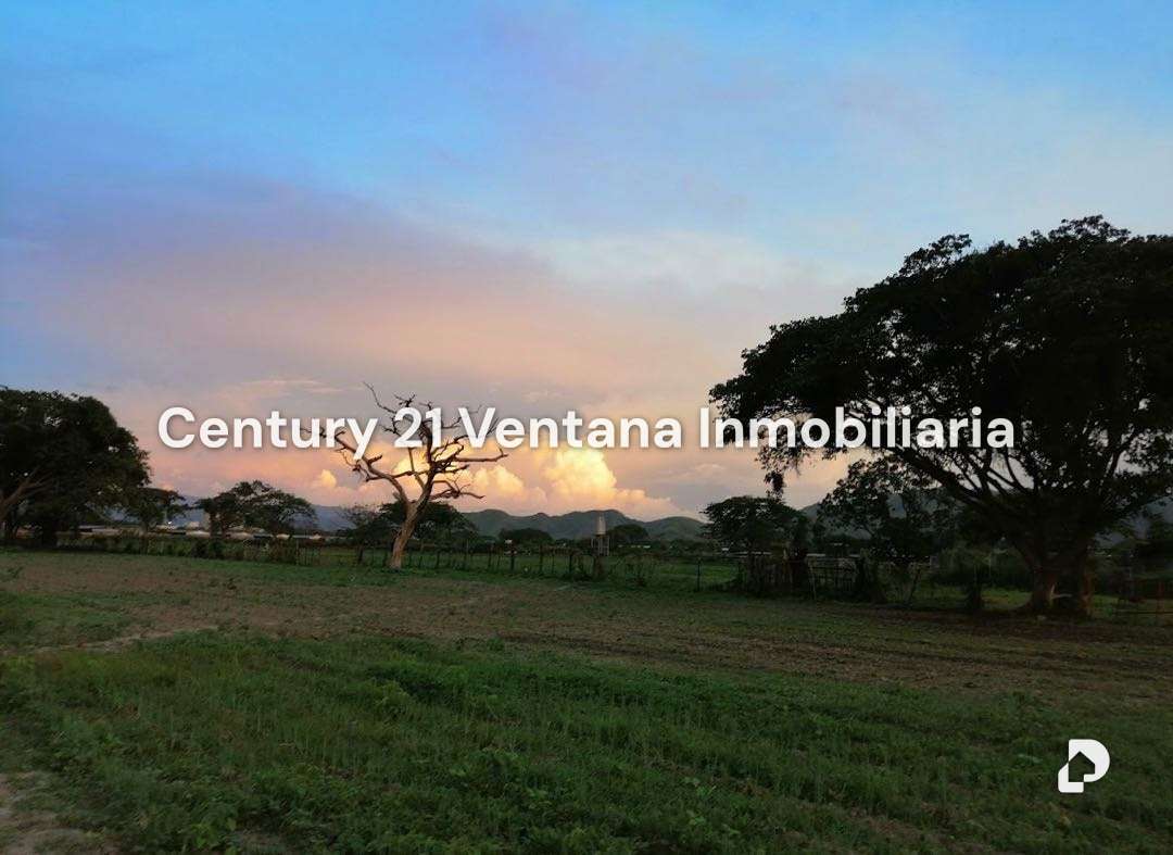 Finca en Santa Cruz, Maracay – 3