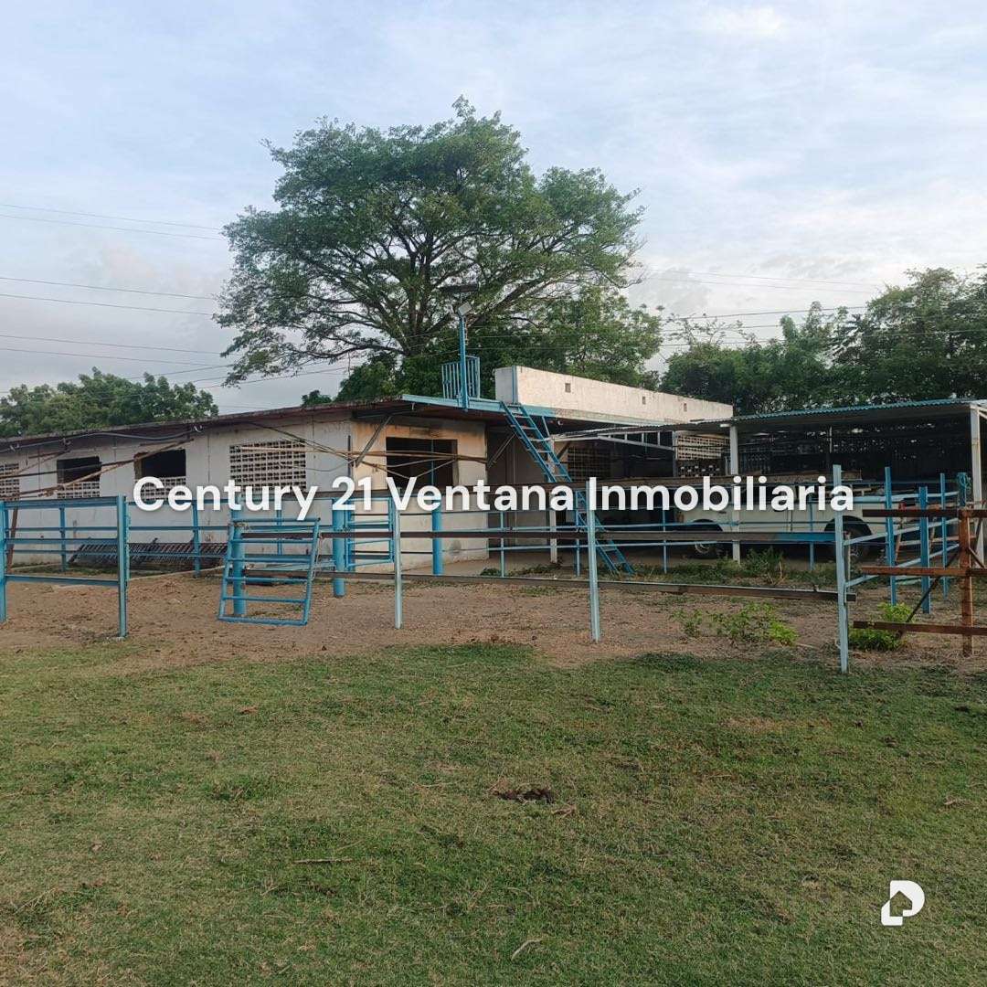 Finca en Santa Cruz, Maracay – 11