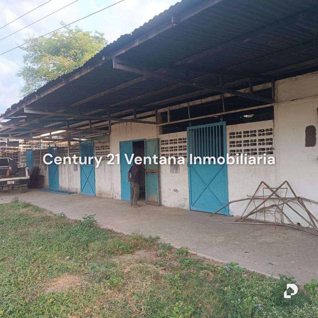 Finca en Santa Cruz, Maracay – 18