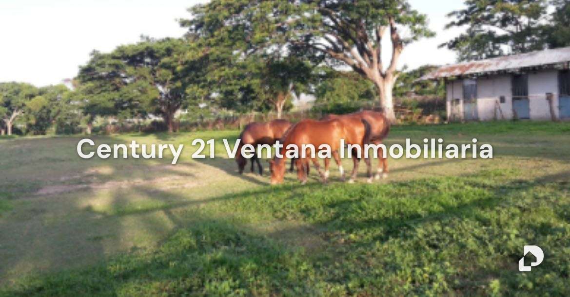 Finca en Santa Cruz, Maracay – 1