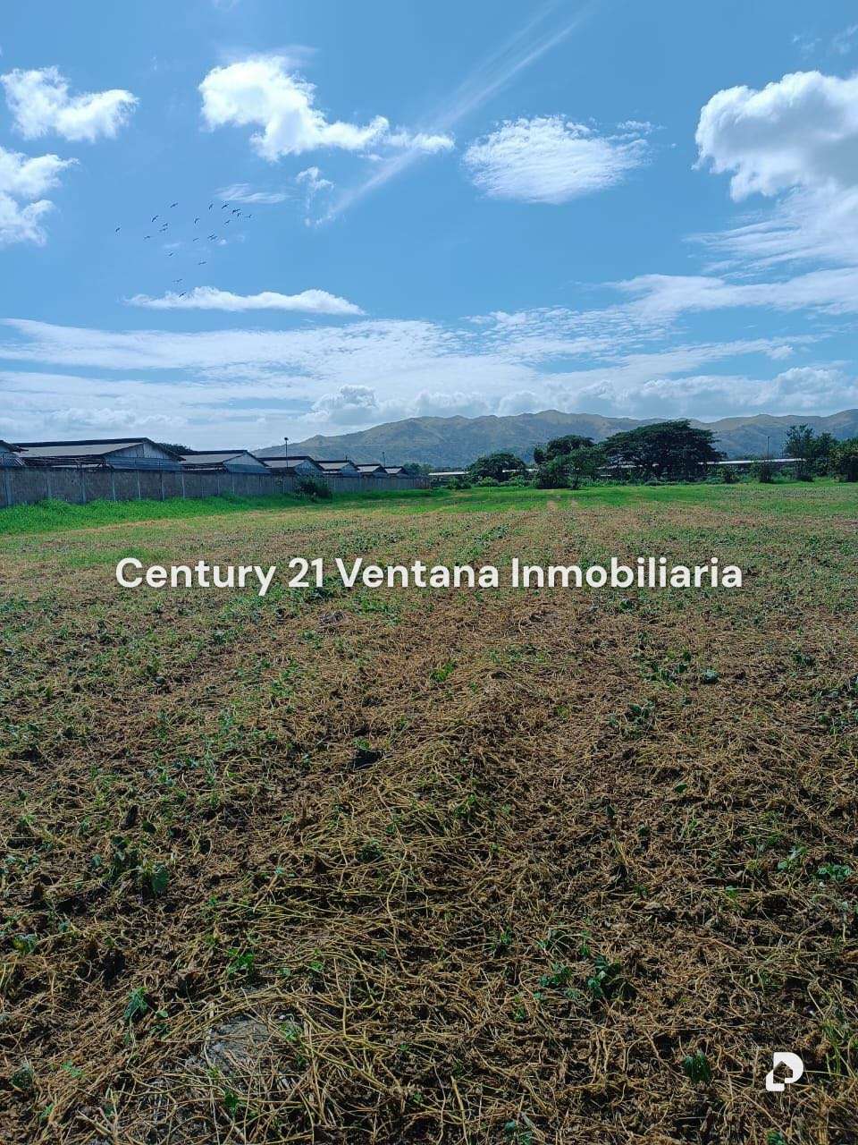 Finca en Santa Cruz, Maracay – 13