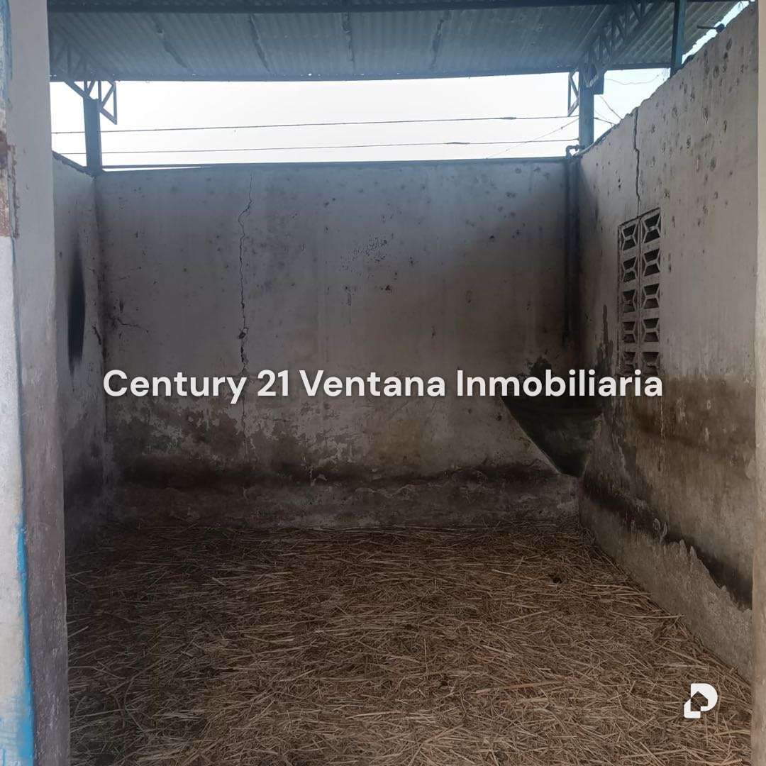 Finca en Santa Cruz, Maracay – 14
