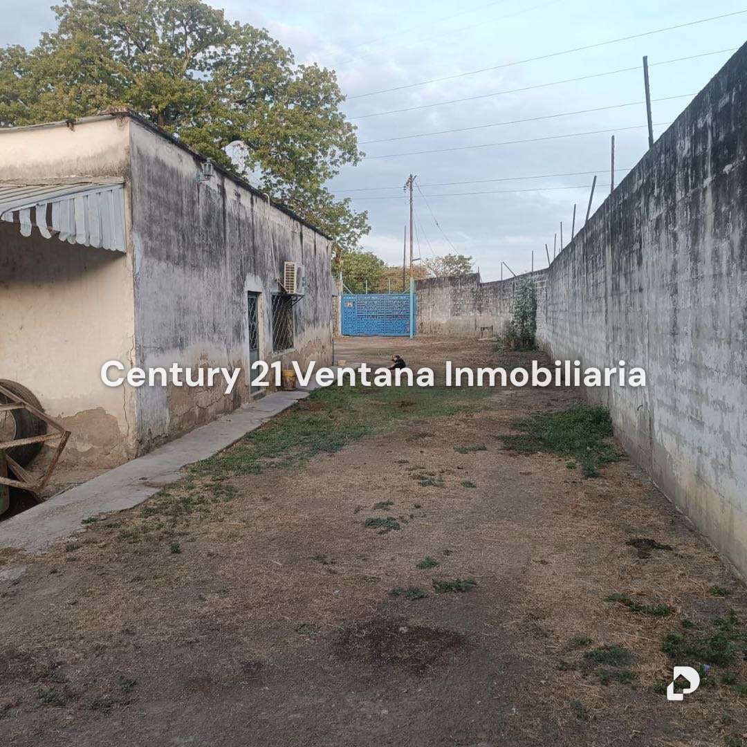Finca en Santa Cruz, Maracay – 10