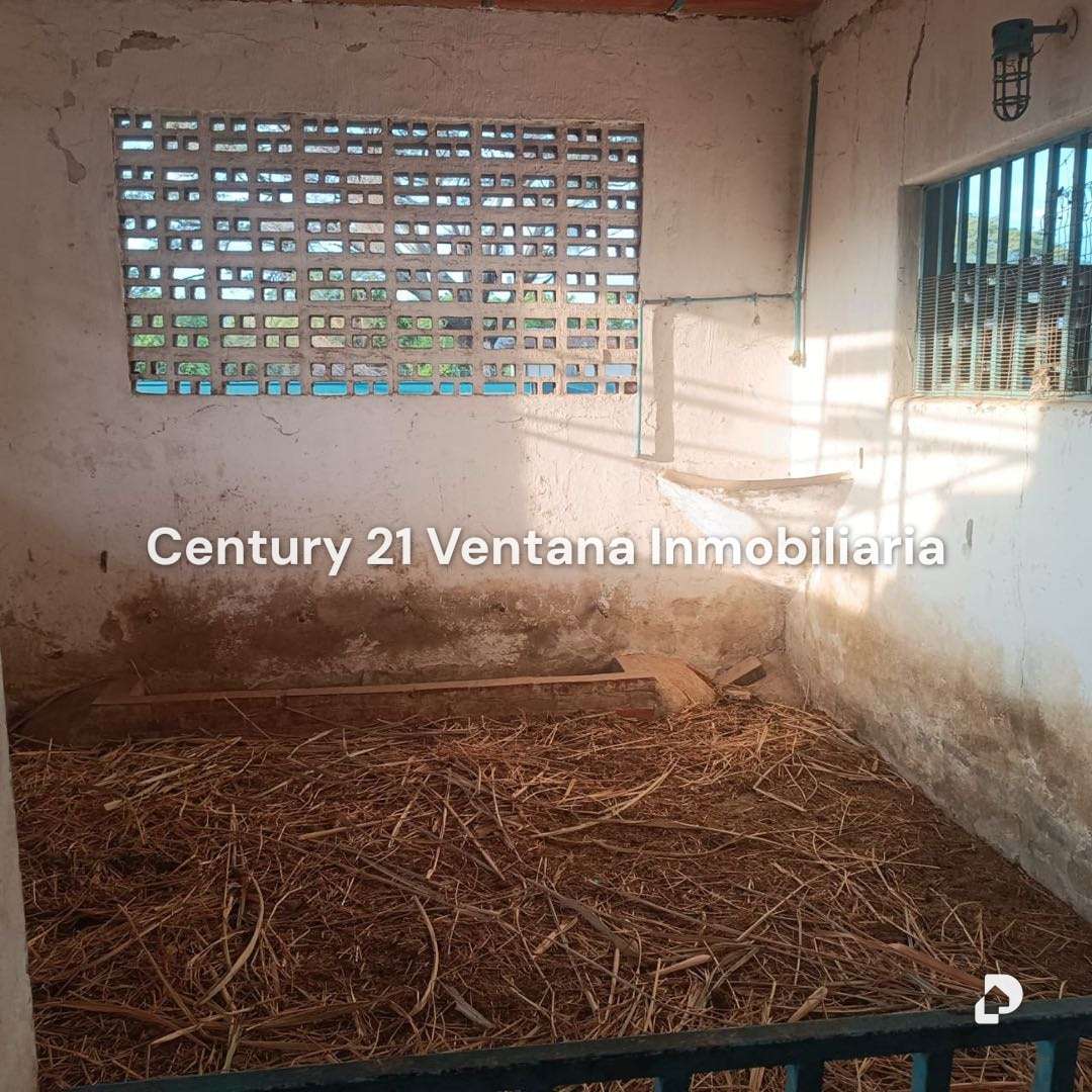 Finca en Santa Cruz, Maracay – 17