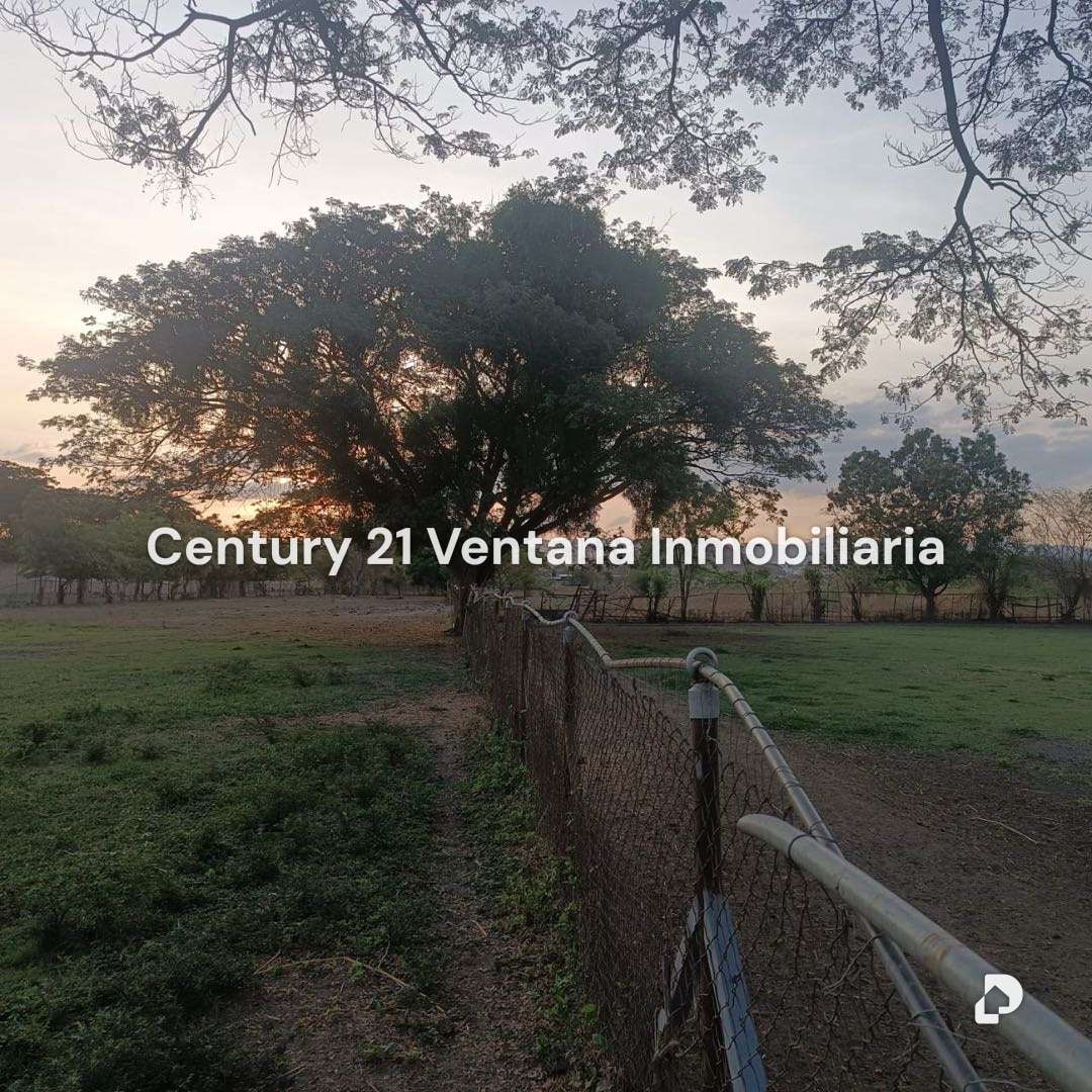 Finca en Santa Cruz, Maracay – 20