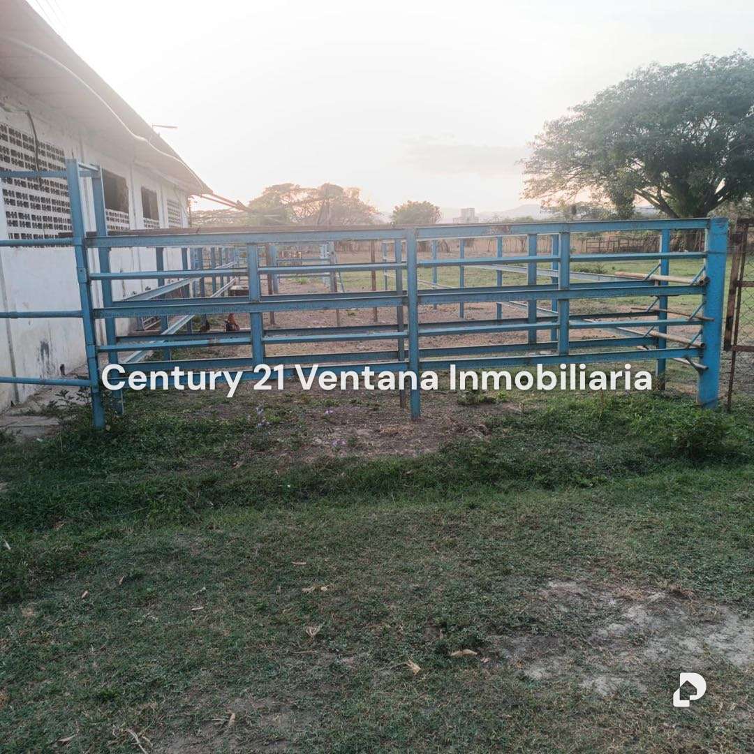 Finca en Santa Cruz, Maracay – 12
