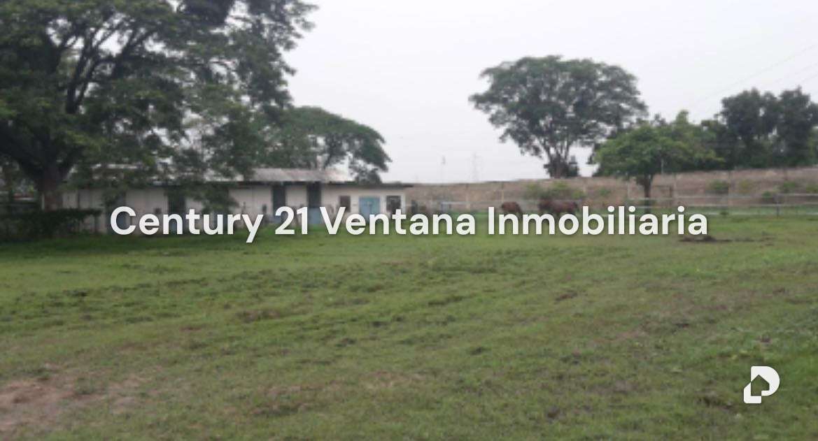 Finca en Santa Cruz, Maracay – 2