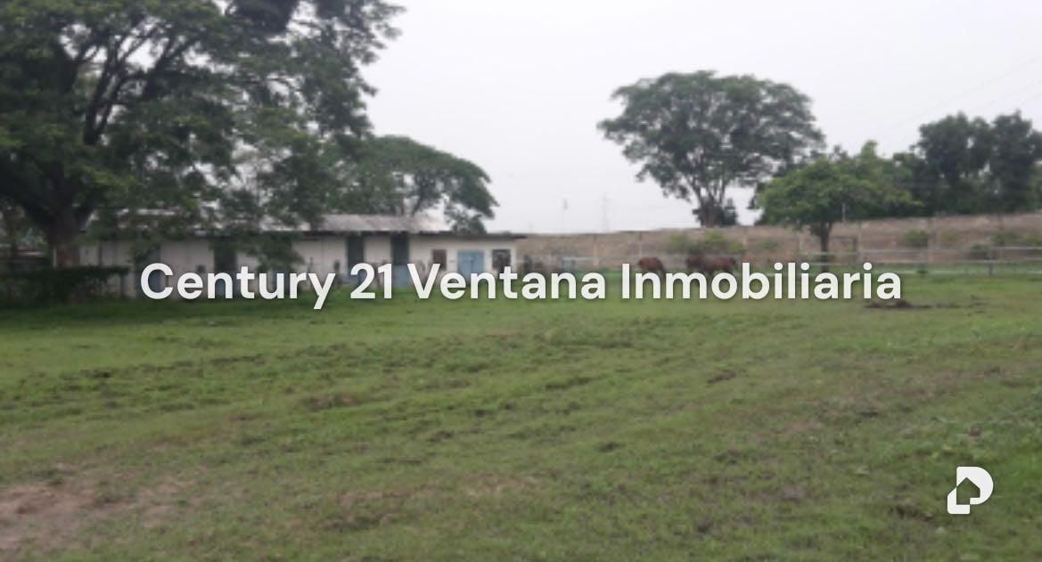 Finca en Santa Cruz, Maracay – 2