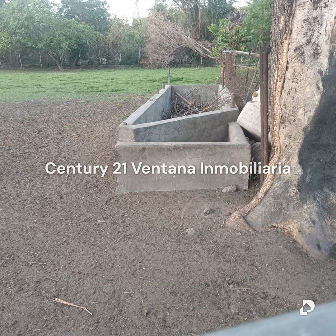 Finca en Santa Cruz, Maracay – 15