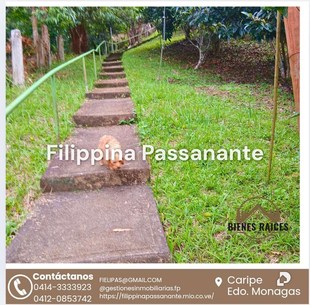 Casa en San Agustín, Caripe – 3