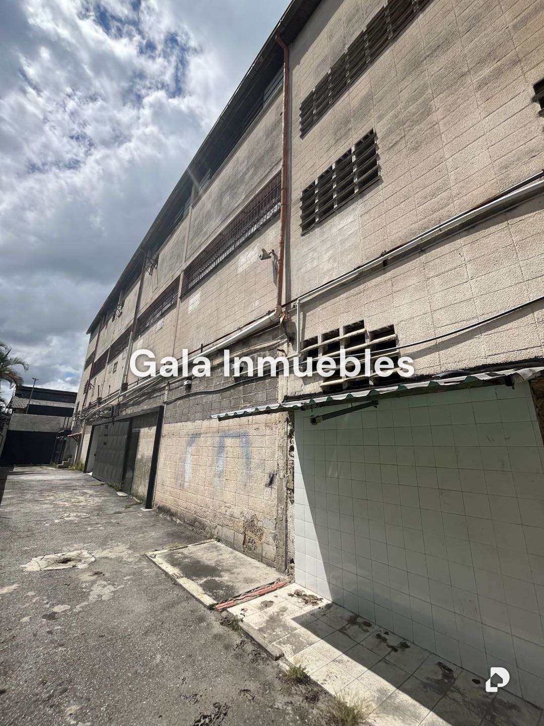Galpón en Los Ruices, Caracas – 5