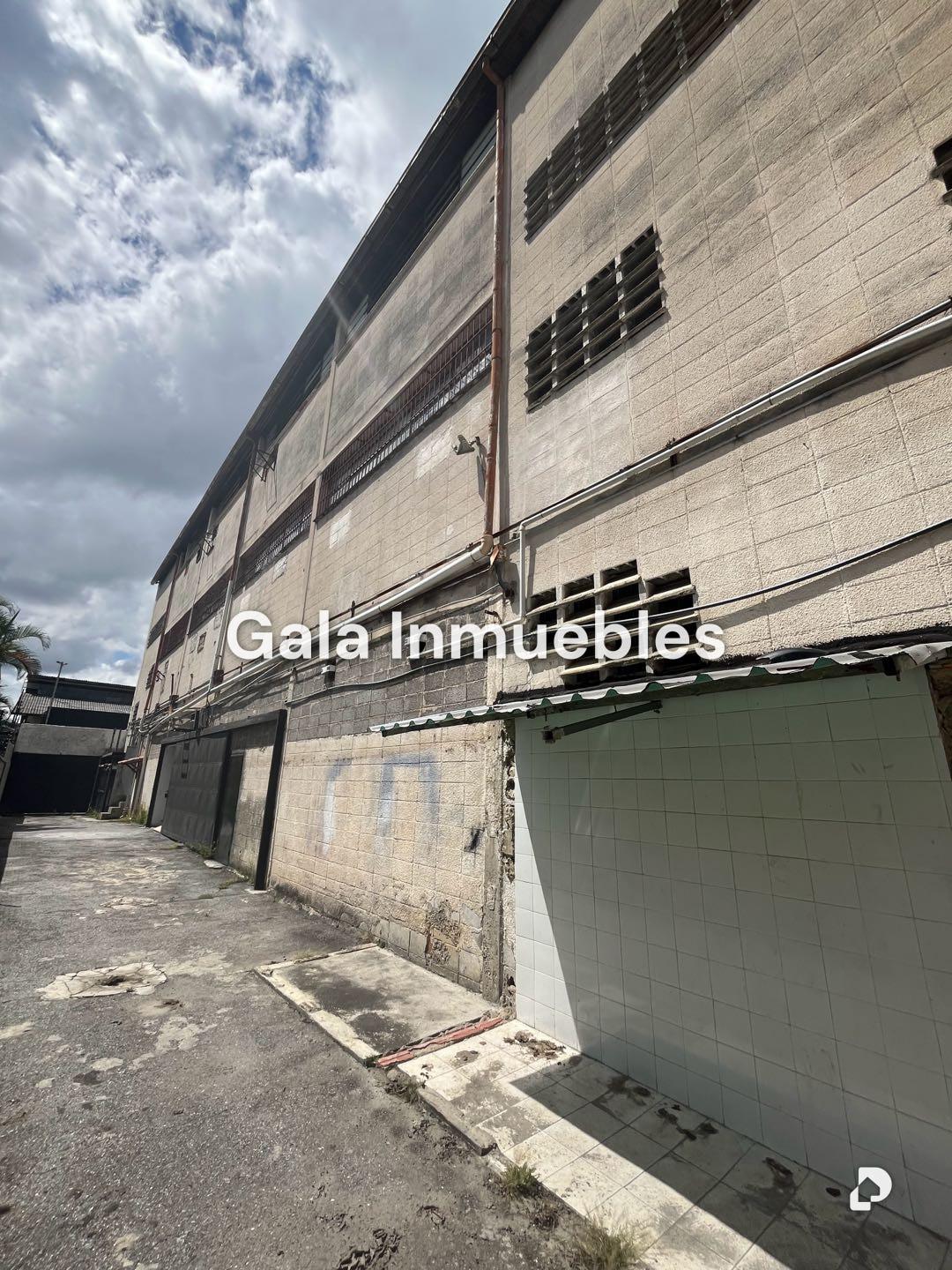 Galpón en Los Ruices, Caracas – 5