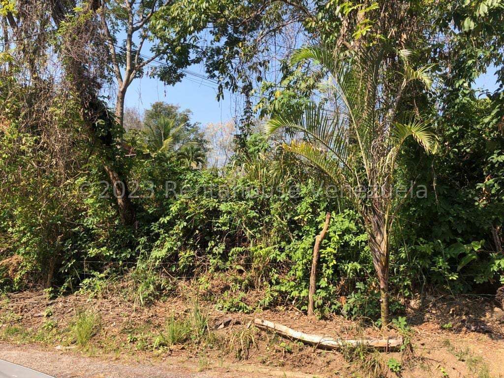 Terreno en Colinas de Guataparo, Valencia