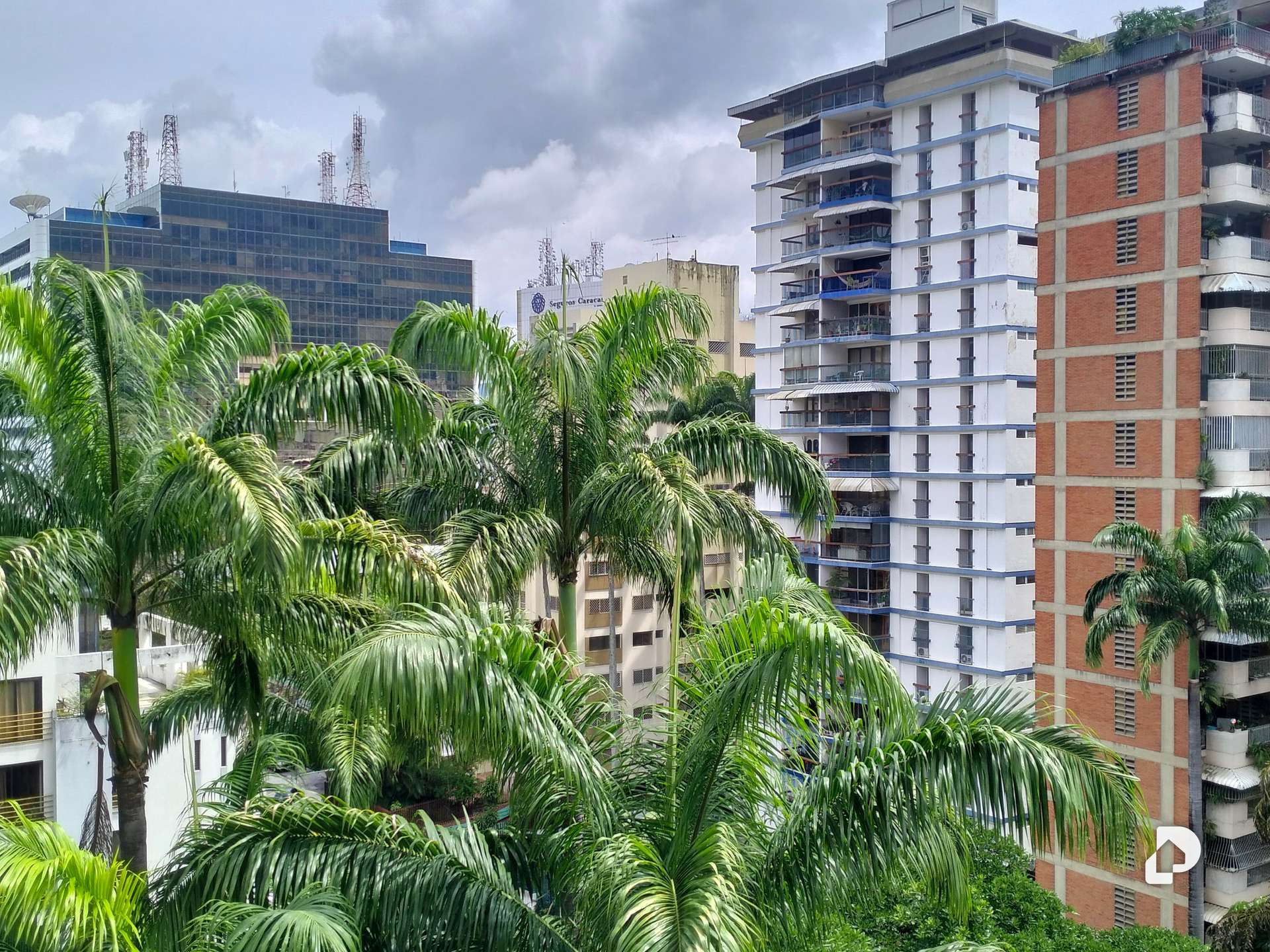 Apartamento en Los Palos Grandes, Caracas – 3