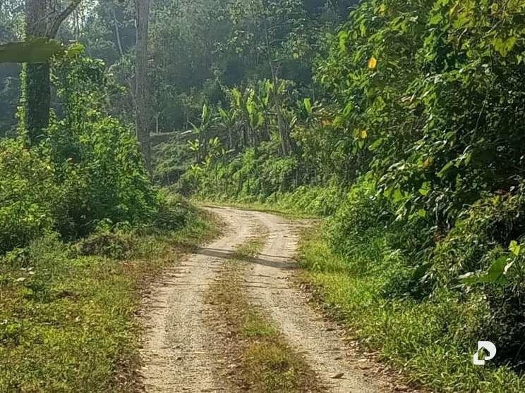 Finca en El Penon – 20