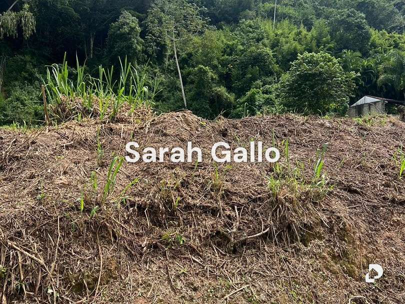 Terreno en Cerro Verde, Caracas – 2
