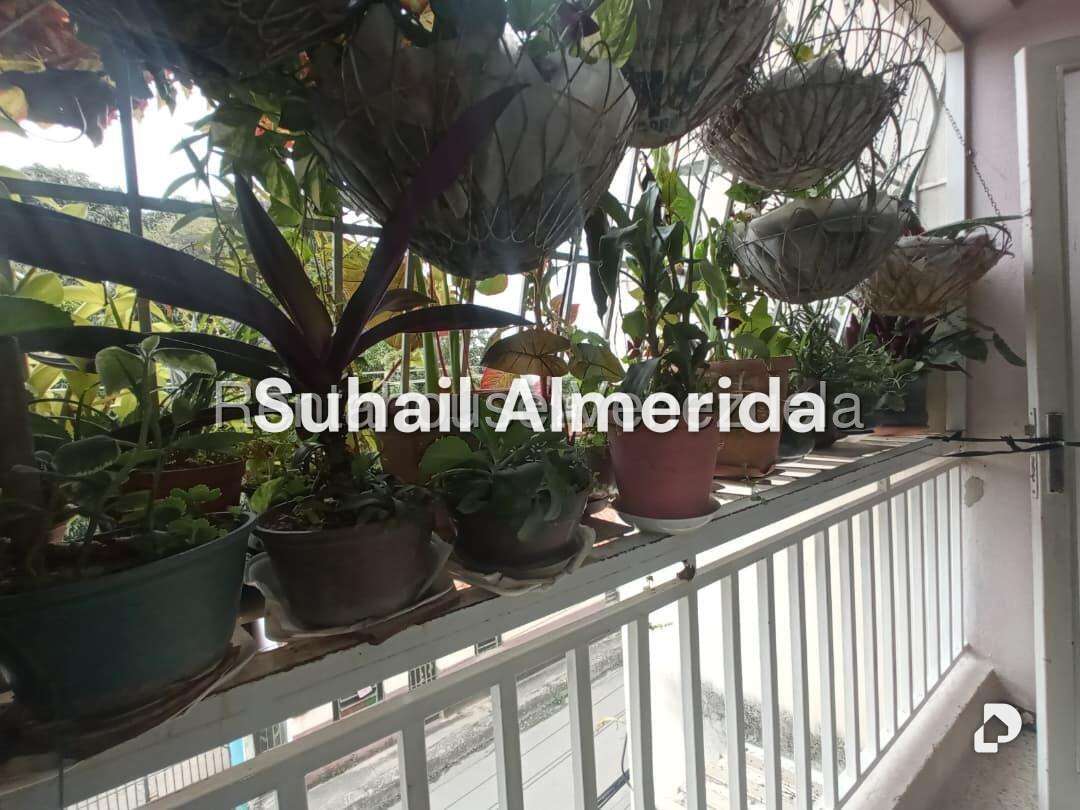 Apartment in Centro, Guacara – 6