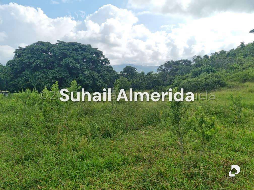 Terreno en Bejuma – 15