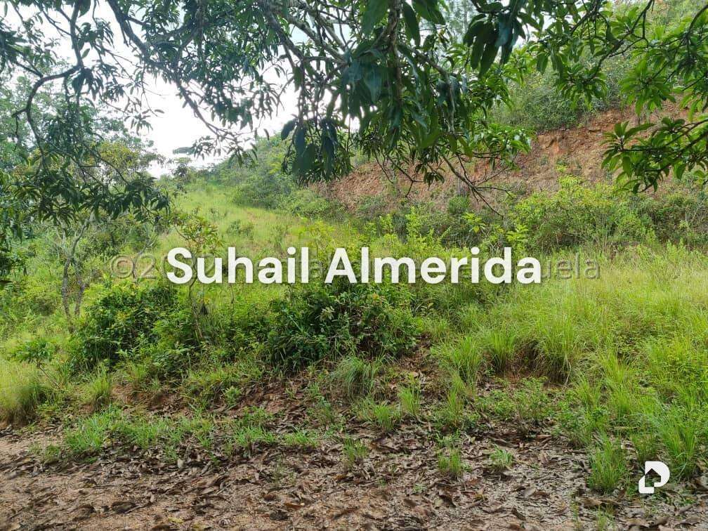 Terreno en Bejuma – 10
