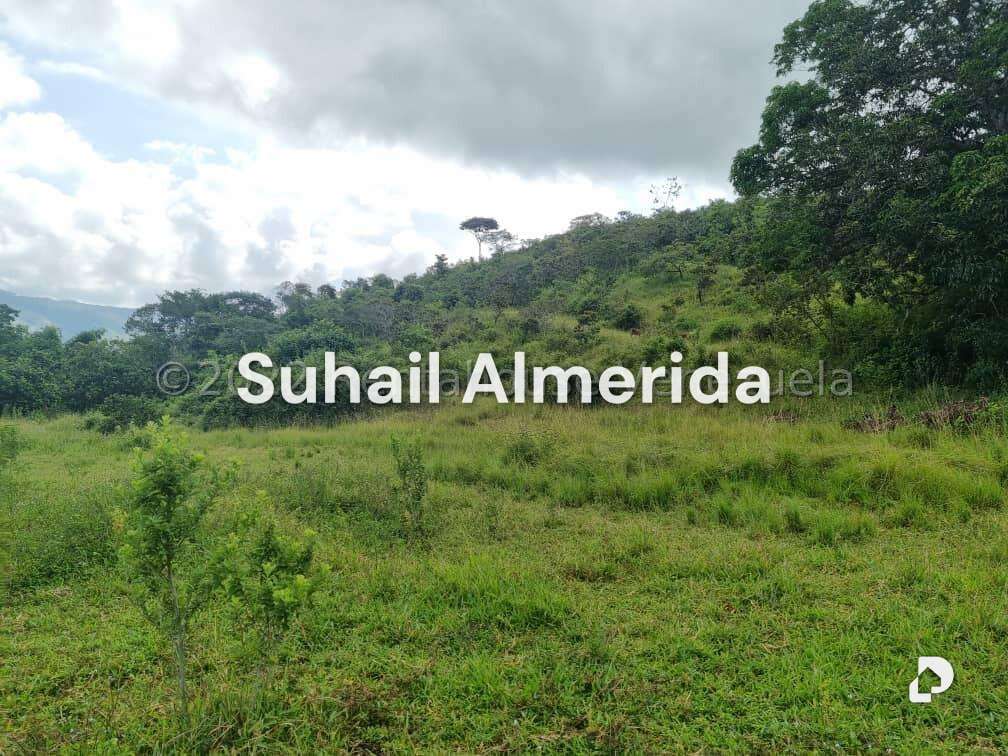 Terreno en Bejuma – 8