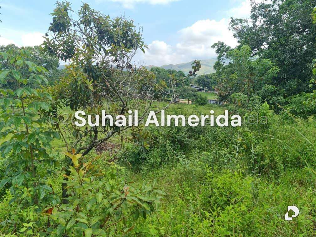 Terreno en Bejuma – 12