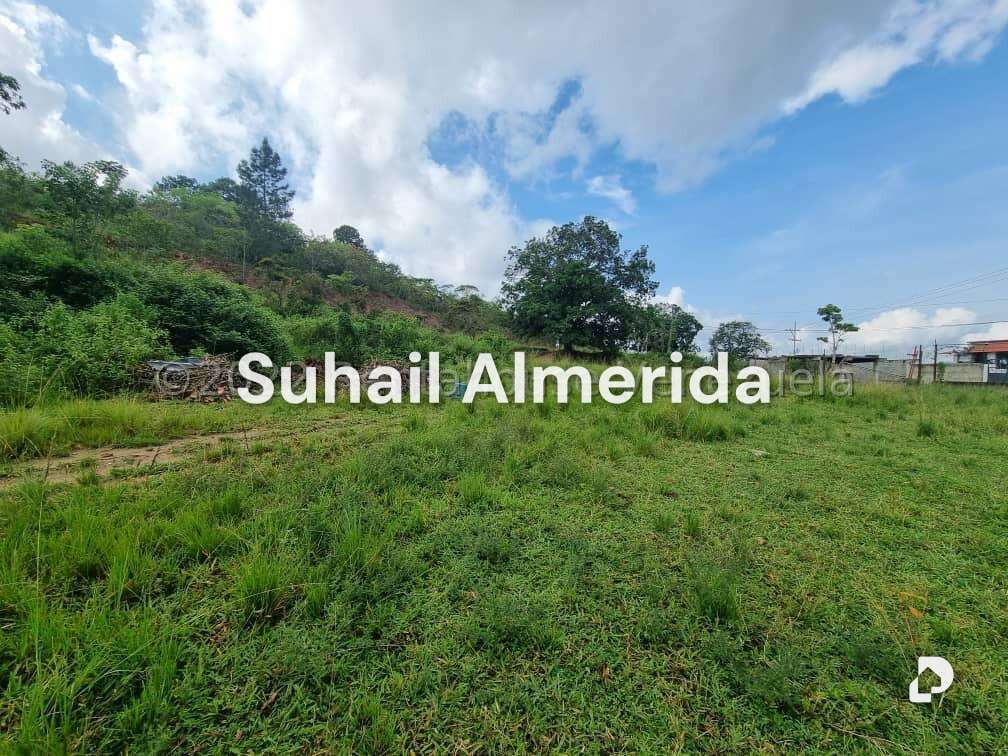 Terreno en Bejuma – 17