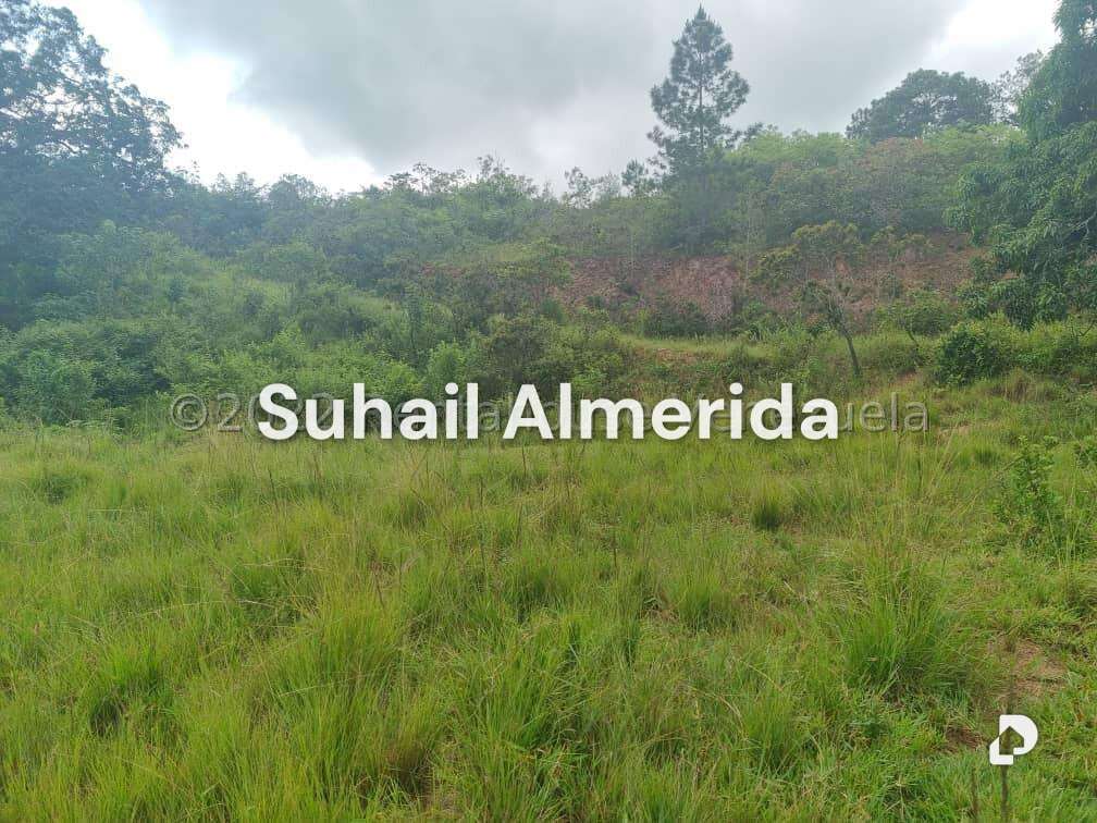 Terreno en Bejuma – 11