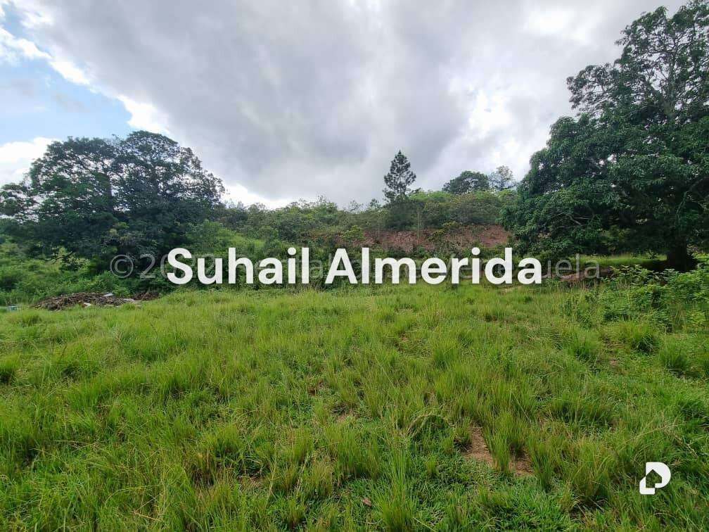 Terreno en Bejuma – 2
