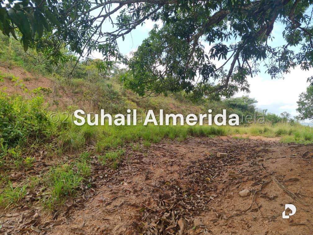 Terreno en Bejuma – 18