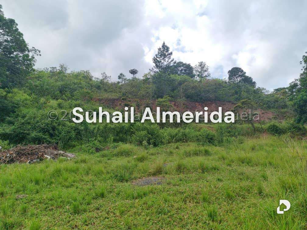 Terreno en Bejuma – 3