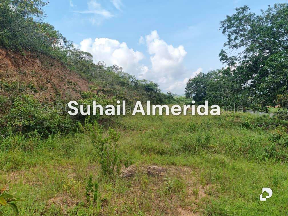 Terreno en Bejuma – 20