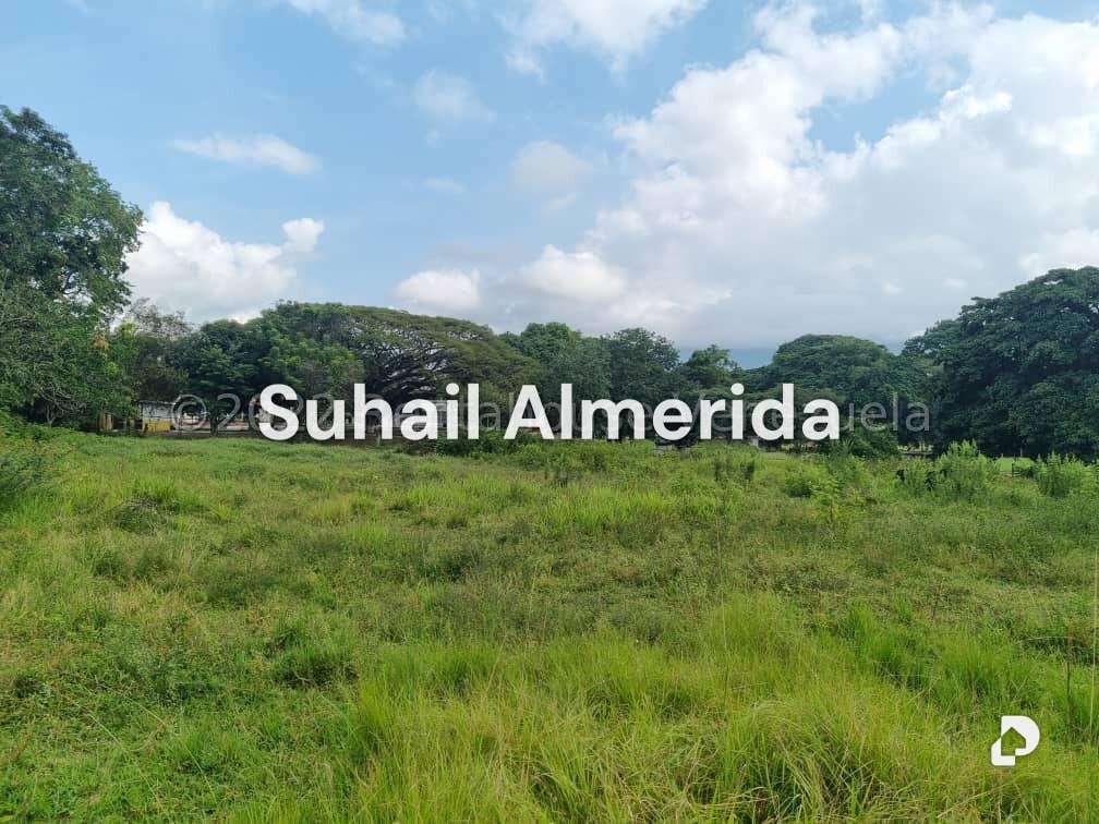 Terreno en Bejuma – 13