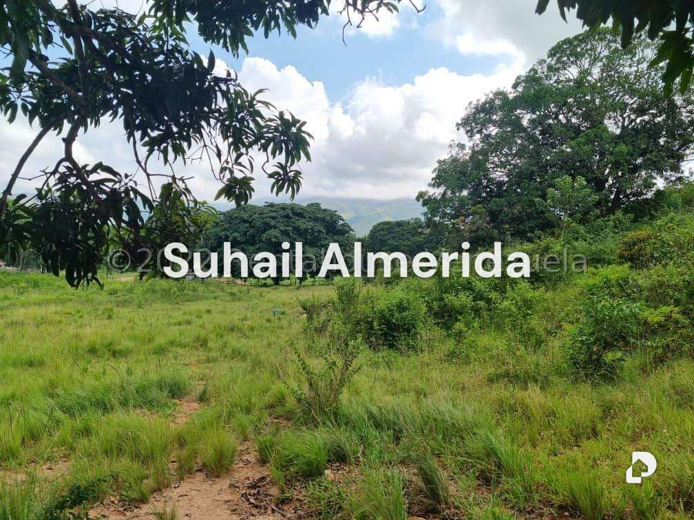 Terreno en Bejuma – 16