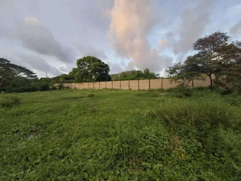 Terreno en Sanare, Tucacas - 1