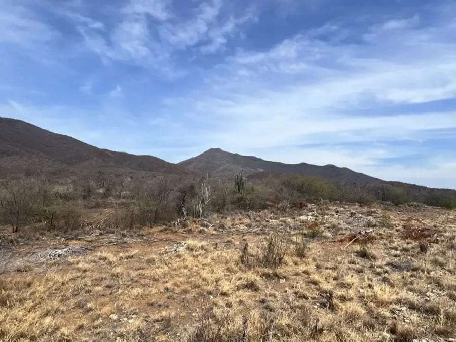 Terreno en Taguantar, Margarita (noreste) - 1