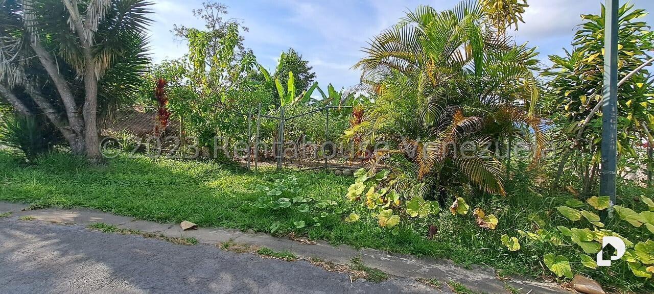 Terreno en Monte Elena, Caracas – 5