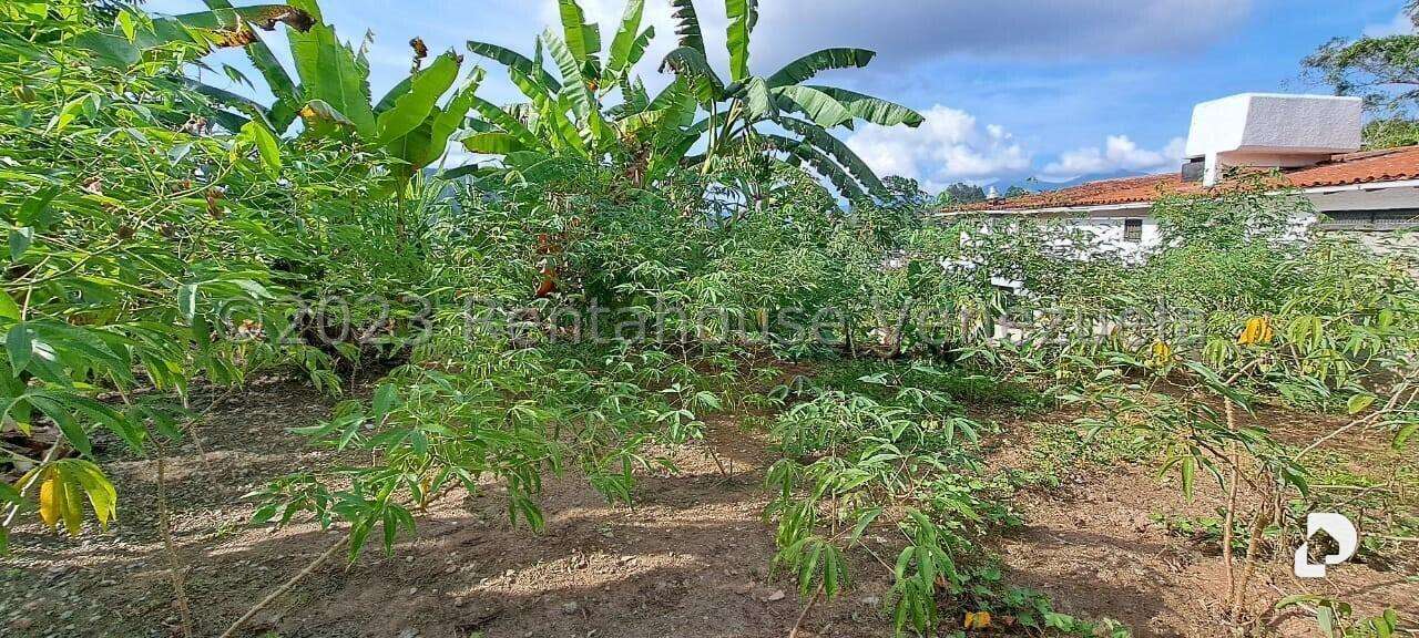 Terreno en Monte Elena, Caracas – 10