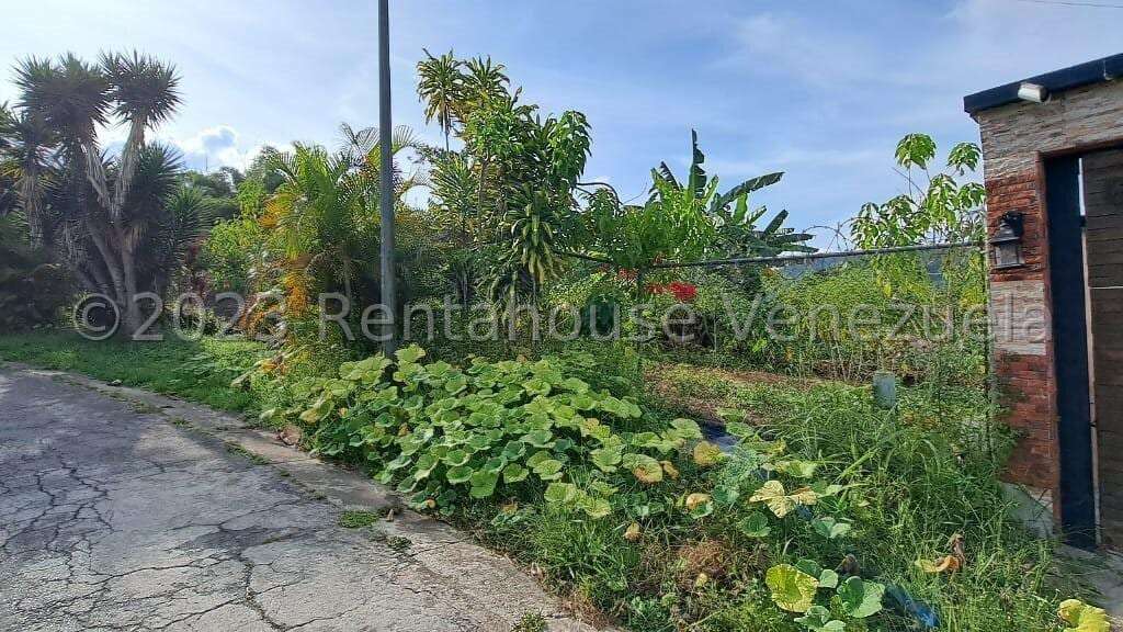Terreno en Monte Elena, Caracas - 1