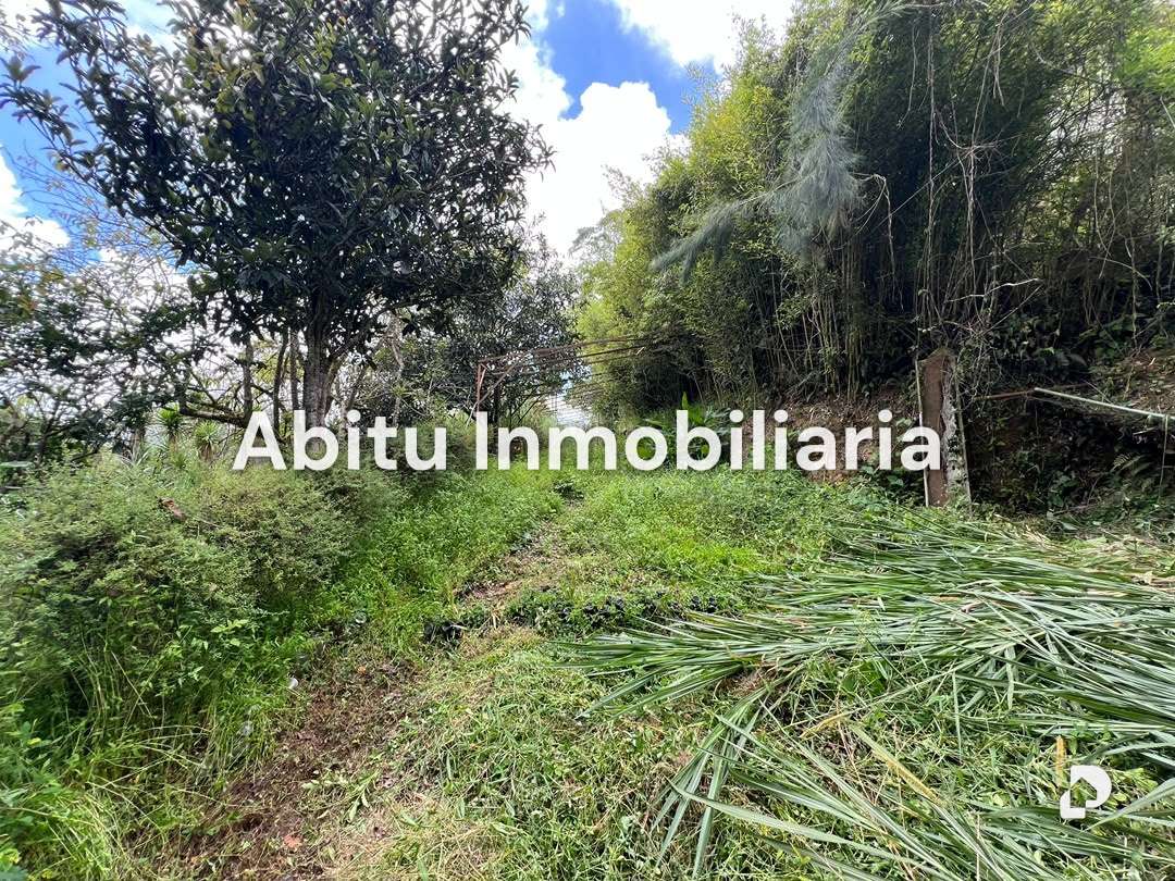Terreno en Club de Campo, Altos Mirandinos – 8