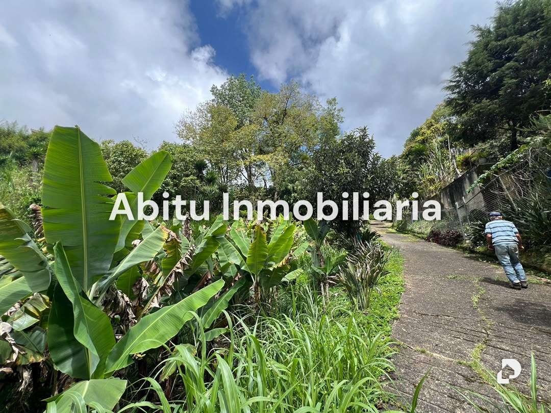 Terreno en Club de Campo, Altos Mirandinos – 15